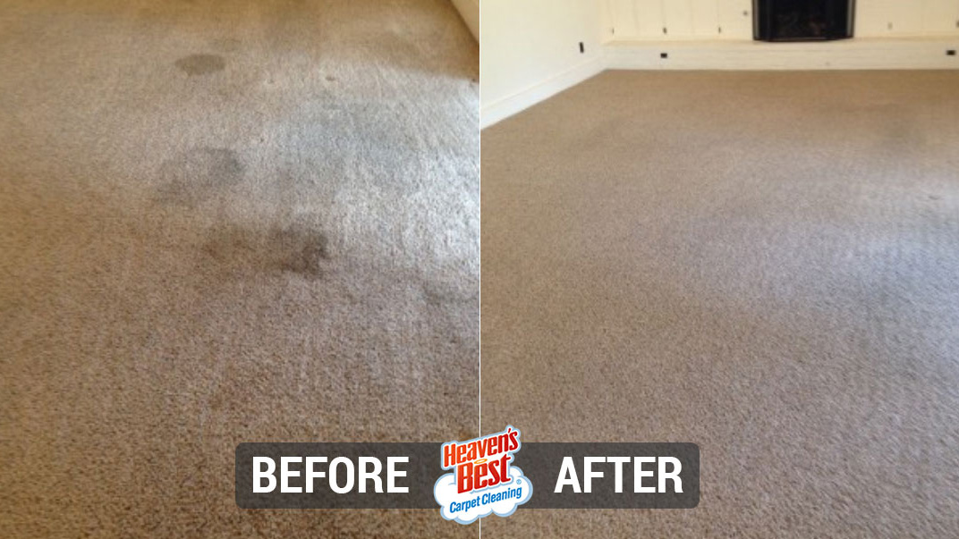 Heaven's Best Carpet Cleaning Binghamton NY