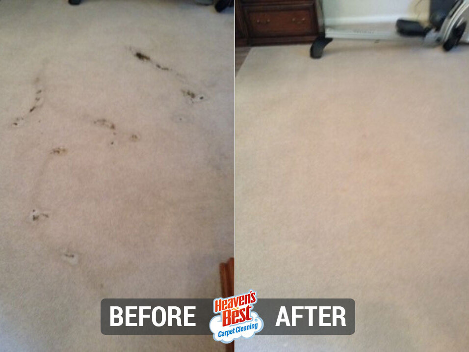 Heaven's Best Carpet Cleaning Binghamton NY