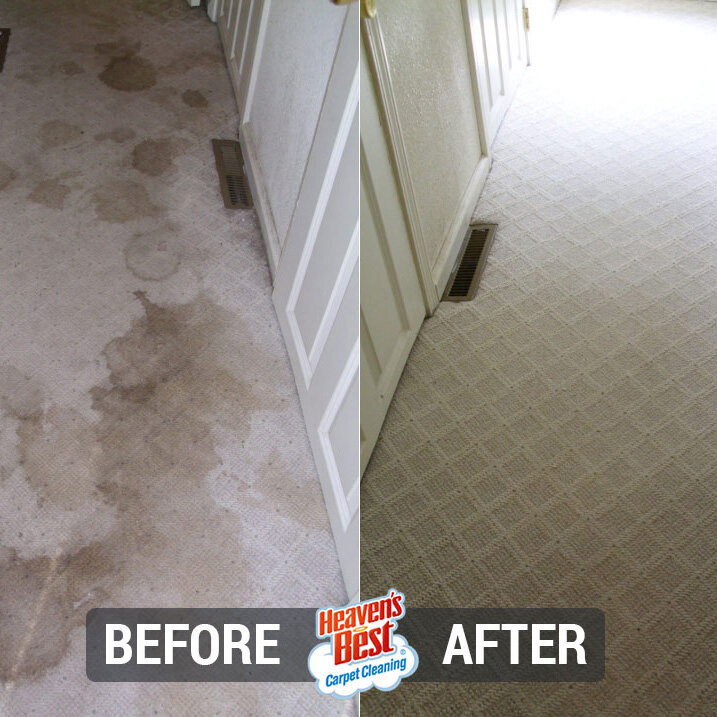 Heaven's Best Carpet Cleaning Binghamton NY