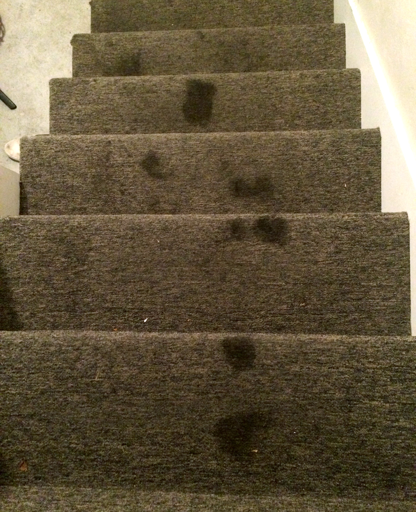 Dirty Carpeted Stairs Before Cleaning